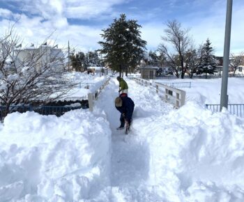 地域の除雪を行いました。